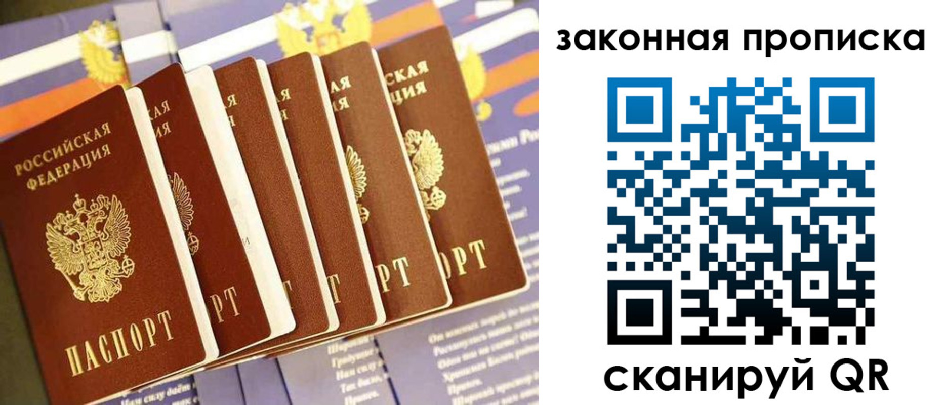 прописка ребенка в Коле